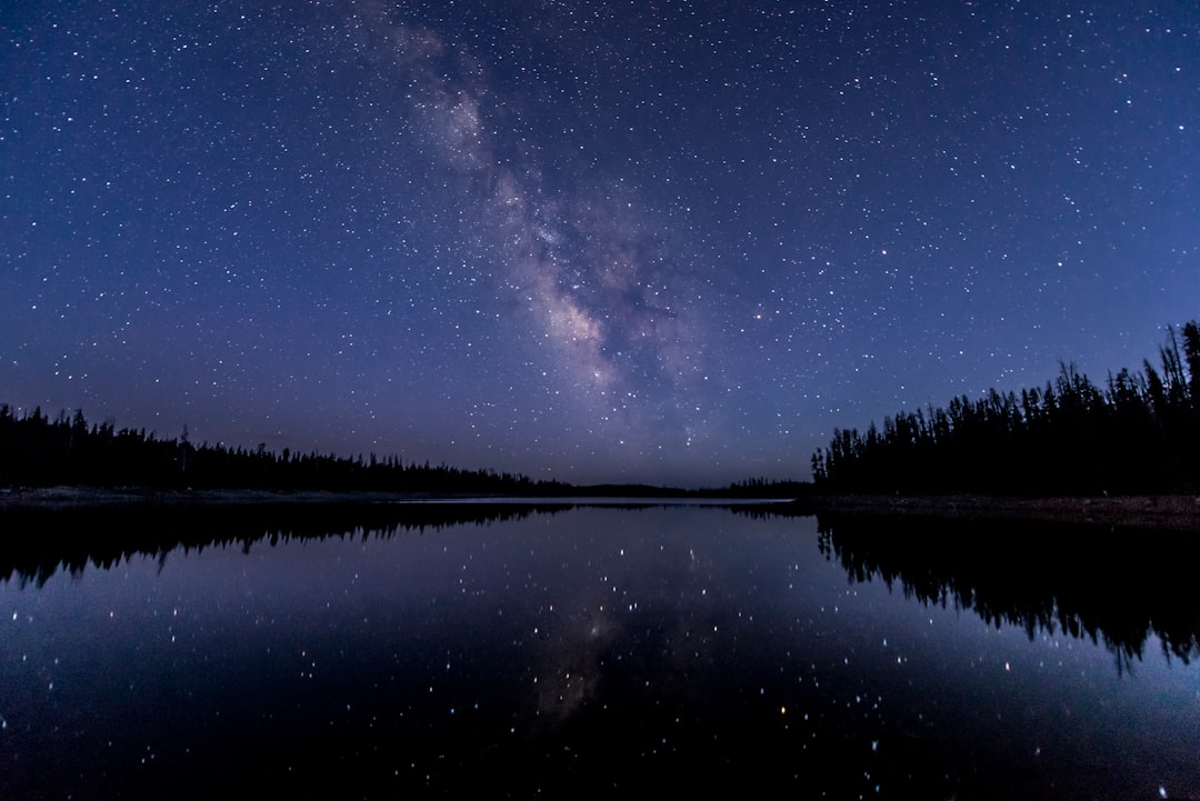 Silhouette d'arbres près du corps d'eau sous le ciel avec des étoiles